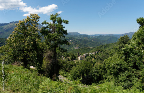 Tableau sur toile Frankreich - Korsika - Carpineto