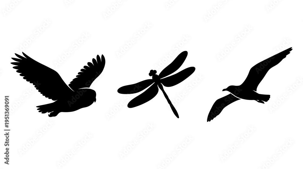 Fototapeta premium Silhouettes of three flying creatures against white background