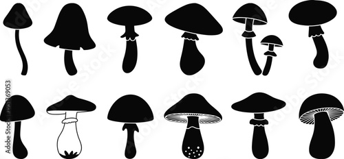 Black and white mushroom silhouettes collection featuring diverse cap and stem shapes for botanical illustration, fungi morphology, educational vector design