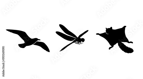 Three Silhouettes of Flying Creatures