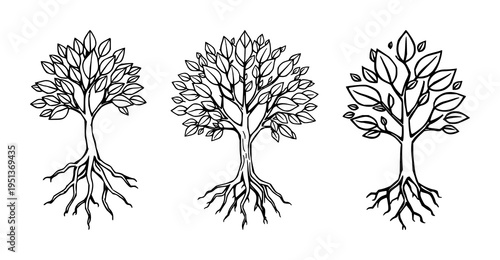Tree logo set with green life tree illustration featuring roots, leaves, foliage with dynamic lines and balanced composition