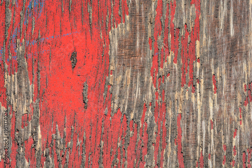 A close up background of an old weathered wooden surface with remains of cracked and peeling red paint showing the natural wood grain