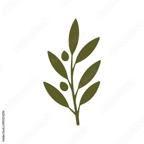 Elegant Mediterranean Olive Oil Brand Identity Design