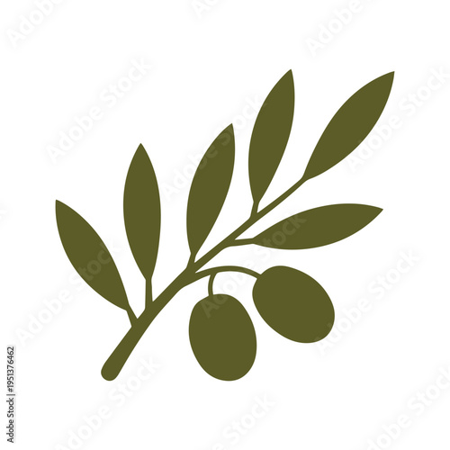 Continuous Line Olive Oil Brand Identity Illustration