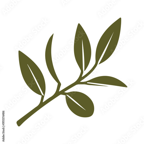 Rustic Mediterranean Olive Oil Brand Illustration Concept