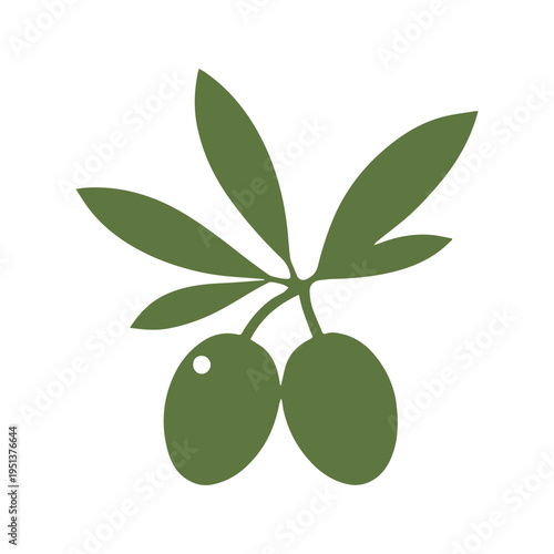 Modern Organic Olive Oil Brand Identity Illustration