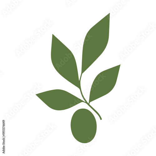 Olive Branch Sun Organic Farm Logo Design