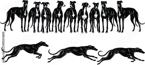 Black Greyhound and Whippet Silhouette Vector Set Featuring Graceful Sighthounds Standing in a Row and Athletic Racing Dogs Running Fast