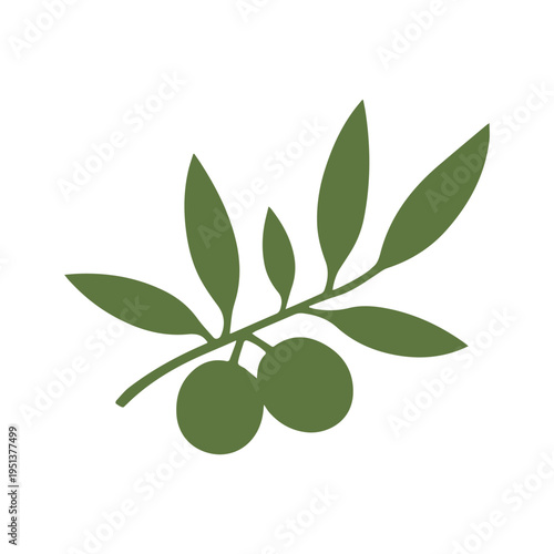 Organic market olive brand logo