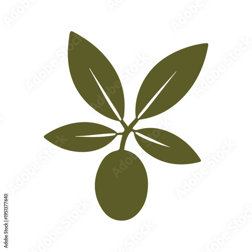 Botanical olive branch logo
