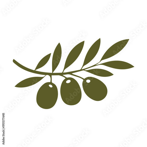 Artistic olive branch illustration logo