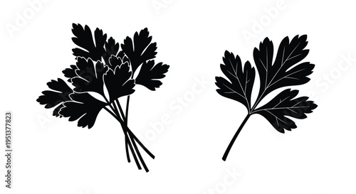 Two sprigs of parsley depicted in a striking black silhouette