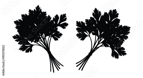 Two bunches of parsley displayed as a striking black silhouette