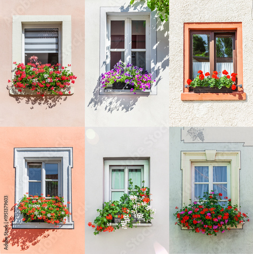 Poster collage with various flower windows