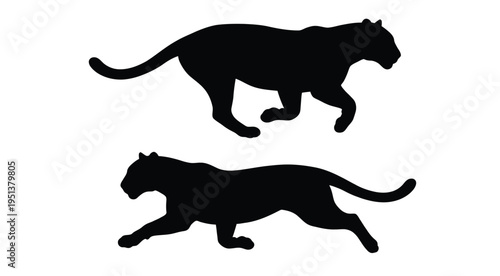 Two black panther silhouettes depicted in dynamic prowling poses silhouette