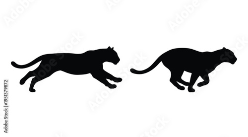Two leaping panthers shown in a striking black silhouette