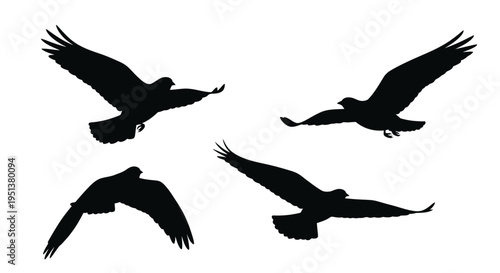 Four birds in flight depicted as a striking black silhouette