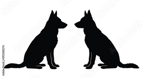 Two german shepherd dogs facing each other in a striking silhouette