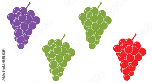 Colorful bunches of grapes in a simple graphic silhouette