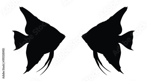 Two angelfish facing each other a striking black form silhouette