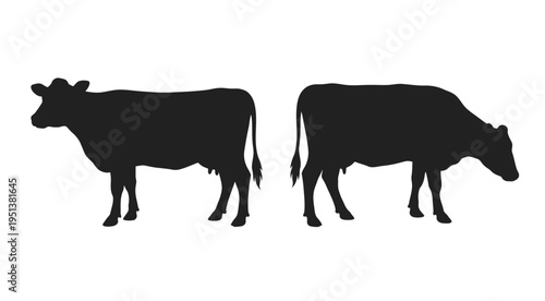 Two cows stand side by side in a stark black graphic silhouette