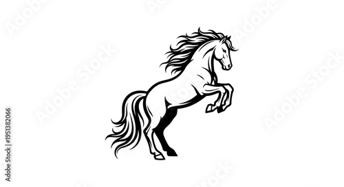 Elegant black and white horse illustration against a clean white backdrop