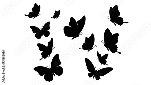 Black butterfly silhouettes floating against a white background concept design