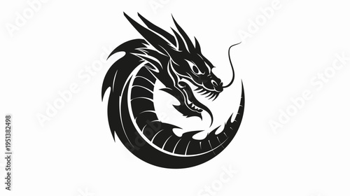 Black dragon illustration on white background vector symbol design