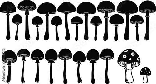Mushroom silhouette vector illustration set, black fungi icons, organic toadstool and agaric collection isolated on white background, nature design elements.