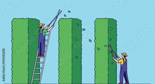 Gardeners trim tall green bushes into neat shapes with shears and a ladder