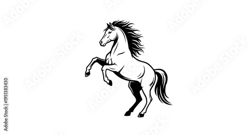 Elegant black and white horse illustration on white background