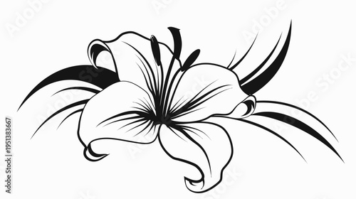 Elegant black and white lily flower vector illustration for design projects