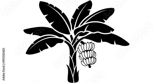 Black and white illustration of a banana tree with a bunch of bananas
