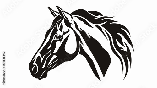 Elegant black and white horse head illustration against clean white background