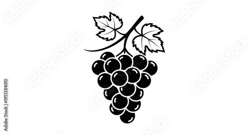 Black and white illustration of a grape cluster with leaves isolated