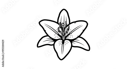 Black and white lily flower illustration isolated graphic design element