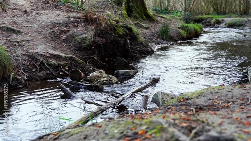 Son d'un ruisseau avec une pierre et un bout de bois (Étangs de La Minière)