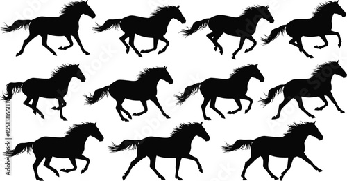 Running horse silhouette vector set, galloping stallion collection, black equine motion shapes, isolated animal icons, wild mustang sequence on white background.