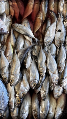 Картината върху платно piles of fresh fish in a market display case