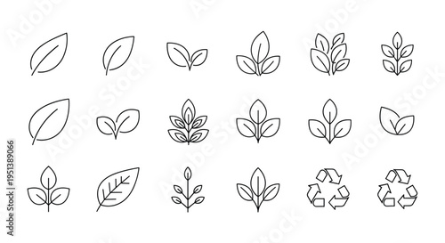 Collection of nature-inspired line icons featuring many different leaf shapes and environmental recycling symbols.