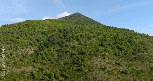 Close-up aerial view of a majestic mountain peak blanketed in dense green forest. The vibrant foliage covers the steep slopes under a clear blue sky, capturing the pure essence of a wild landscape.