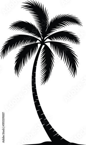 Black Silhouette of a Tropical Palm Tree with Fronds Swaying Against White Background Stock Graphic