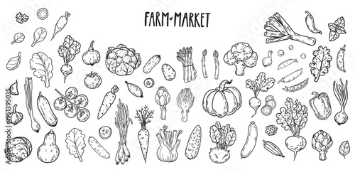 Farm market  vegetables. Hand drawn vector set. Organic food Illustration collection.  Food doodles Illustration for menu, packaging design.  Simple sketch style. 