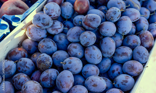 Bild auf Leinwand Fresh plums, market produce, stone fruit, ripe plums, seasonal fruits, fruit box