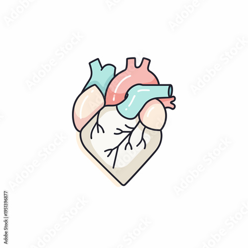 Stylized anatomical illustration of a human heart with colorful chambers and vessels, outlined in black on a white background.