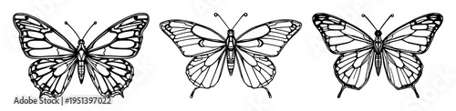 Photos Butterfly set with symmetrical line art design featuring cybernetic, mechanical,