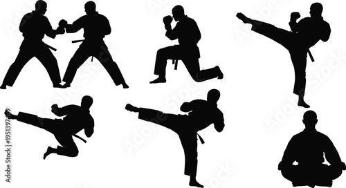 Martial Arts Karate Silhouette Set Showing Fighters Training, High Kick, Combat Sparring and Meditation Poses Isolated for Self Defense Sport, Fitness and Discipline Illustration