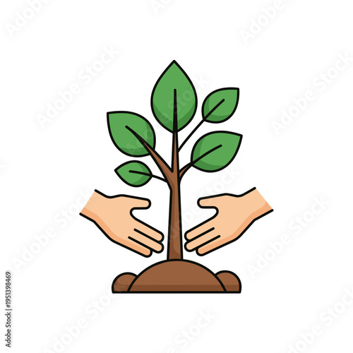 Hands nurturing a small green plant.