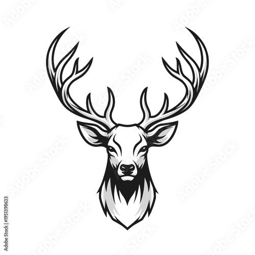 Deer head with large antlers drawing.