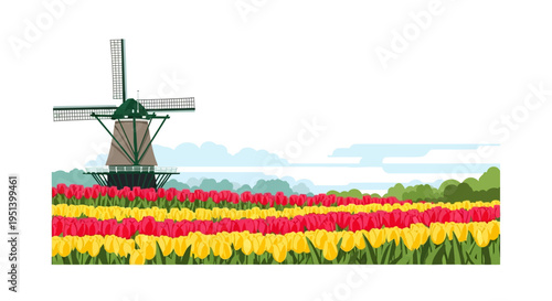 Colorful Tulip Field Foreground With Windmill. Vector Illustrations. EPS Editable
